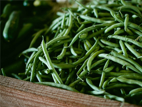 芦笋茶的功效与作用