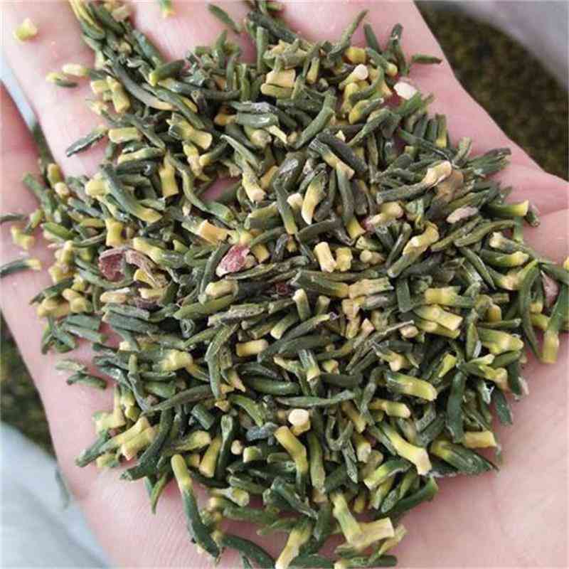 III级莲芯莲子芯茶 莲子心莲心茶 莲子提取物 尚品莲皇产地批发供应