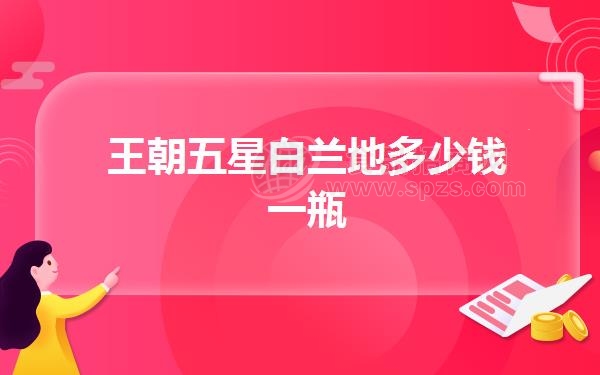 王朝五星白兰地多少钱一瓶