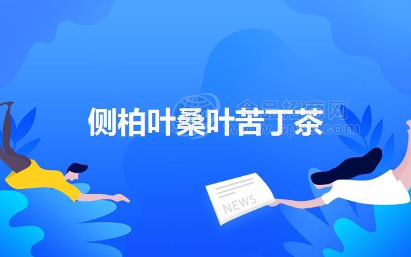 侧柏叶桑叶苦丁茶