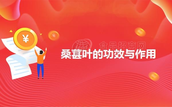 桑葚叶的功效与作用