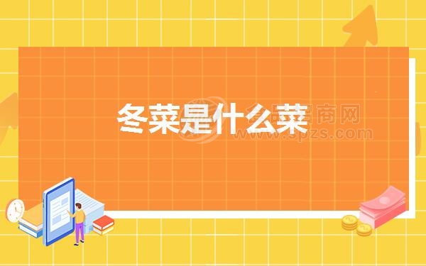 冬菜是什么菜