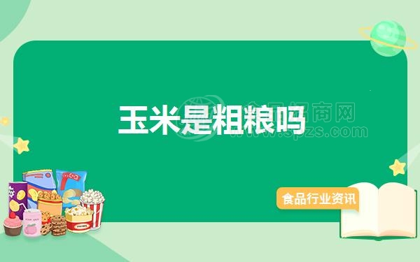 玉米是粗粮吗