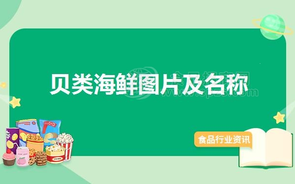 贝类海鲜图片及名称