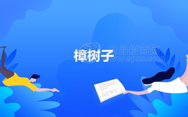 樟树子