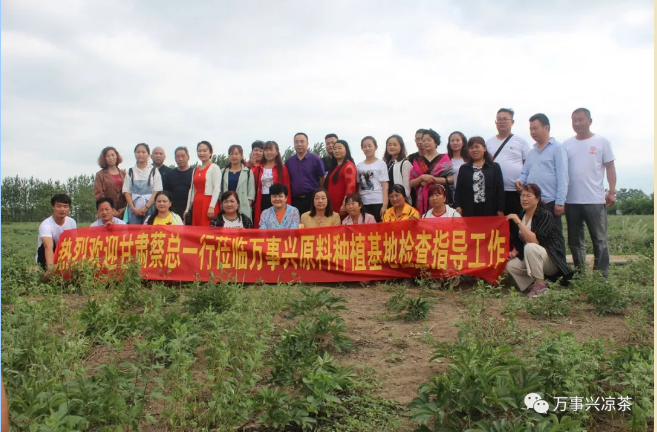 华享|中药|凉茶|万事兴凉茶|安徽华享