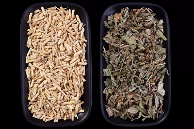 白茅根车前草