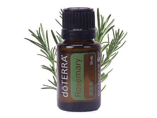 迷迭香精油功效