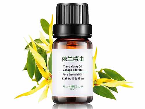 依兰精油可以泡脚吗