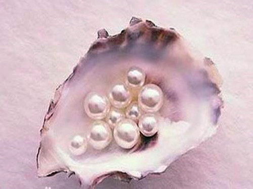 什么是纳米珍珠粉