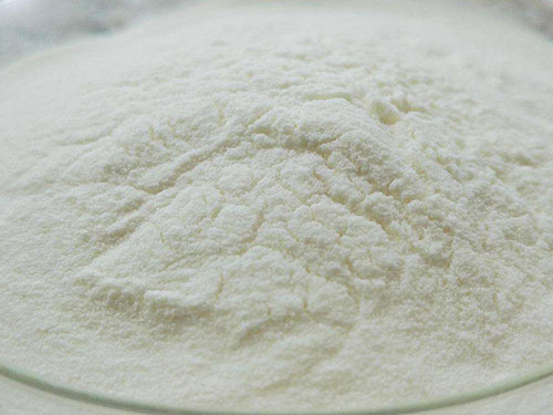 动物蛋白粉的副作用