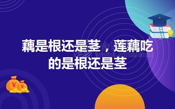 藕是根还是茎，莲藕吃的是根还是茎