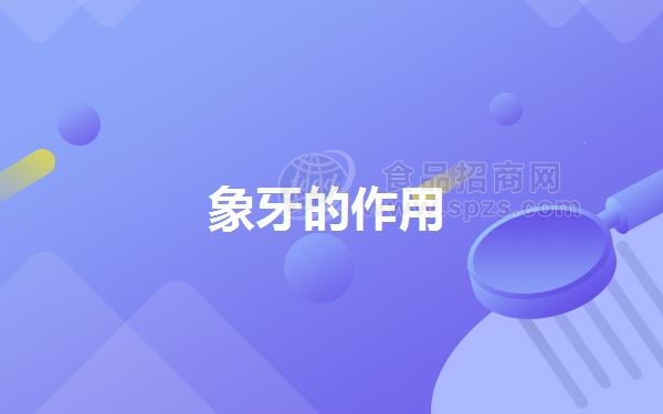 象牙的作用
