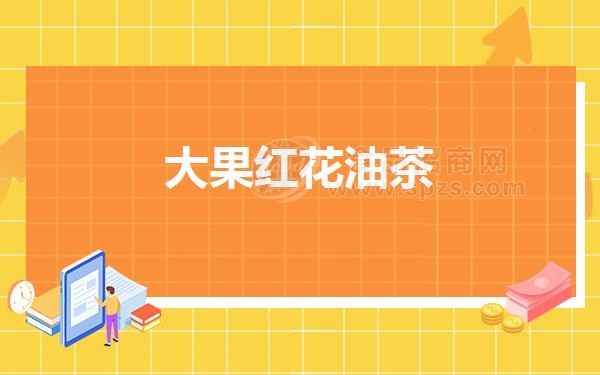 大果红花油茶