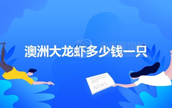 澳洲大龙虾多少钱一只