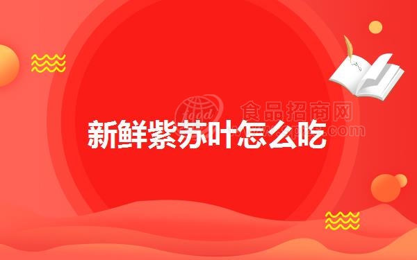 新鲜紫苏叶怎么吃
