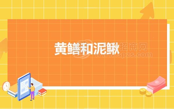 黄鳝和泥鳅