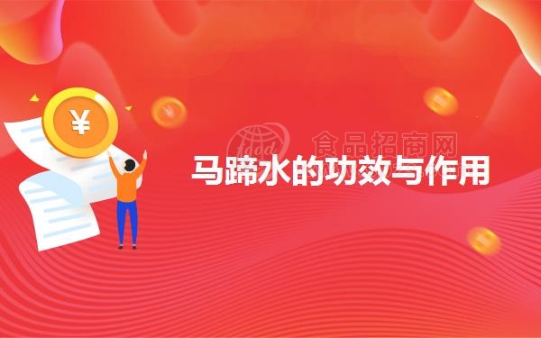 马蹄水的功效与作用