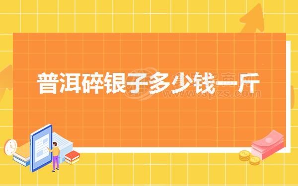 普洱碎银子多少钱一斤