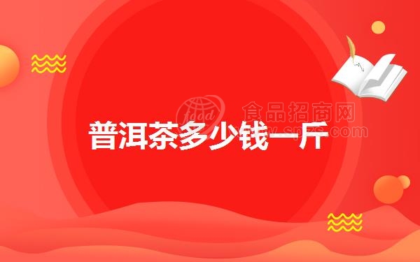 普洱茶多少钱一斤