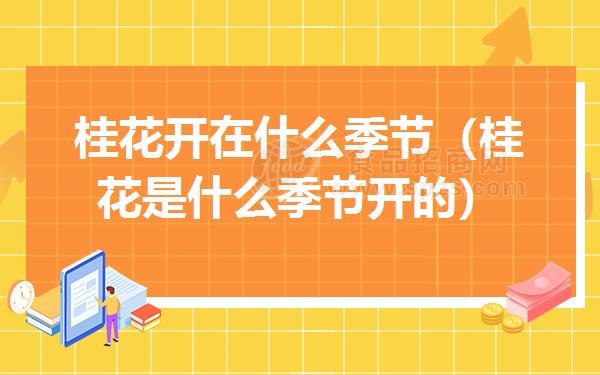 桂花开在什么季节（桂花是什么季节开的）