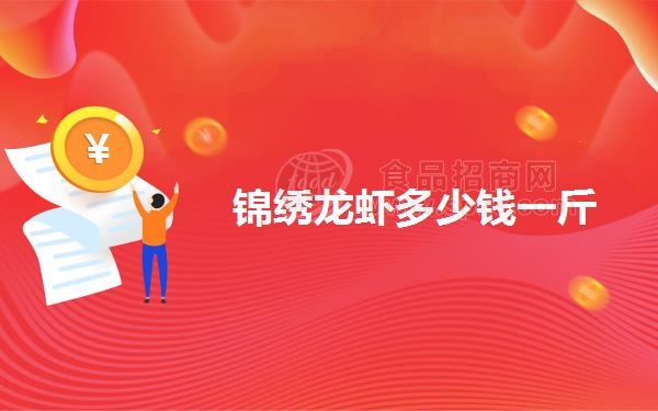锦绣龙虾多少钱一斤