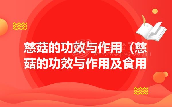 慈菇的功效与作用(慈菇的功效与作用及食用方法)