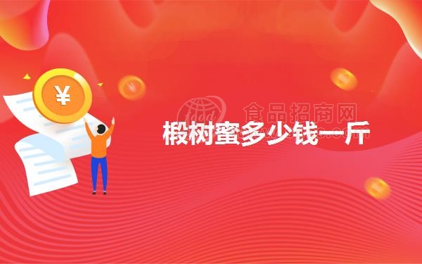 椴树蜜多少钱一斤