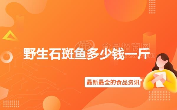 野生石斑鱼多少钱一斤