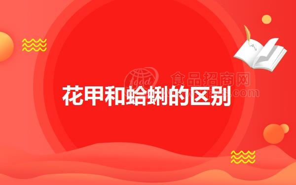 花甲和蛤蜊的区别