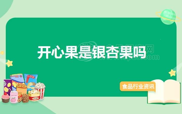 开心果是银杏果吗