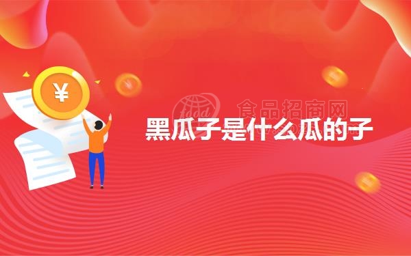 黑瓜子是什么瓜的子