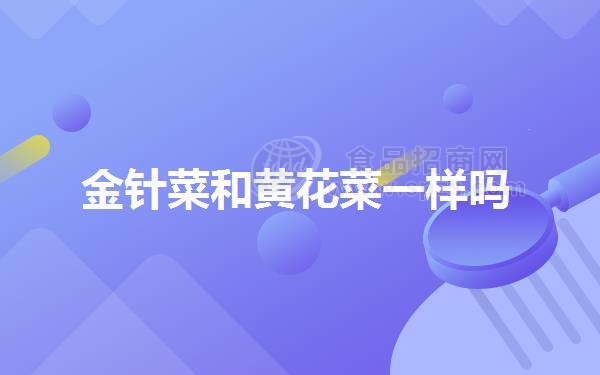 金针菜和黄花菜一样吗