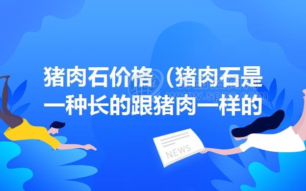 猪肉石价格（猪肉石是一种长的跟猪肉一样的石头。猪肉石价格如何）