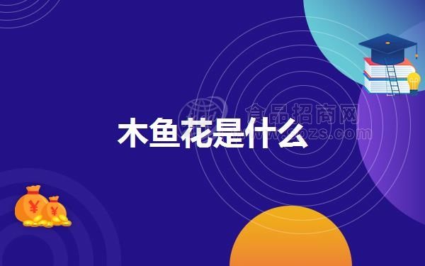 木鱼花是什么