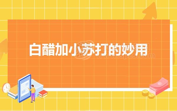 白醋加小苏打的妙用