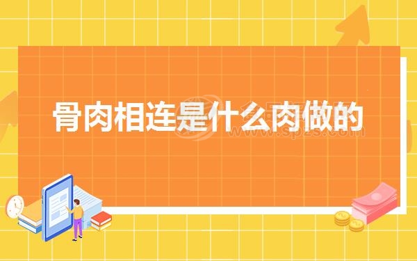 骨肉相连是什么肉做的