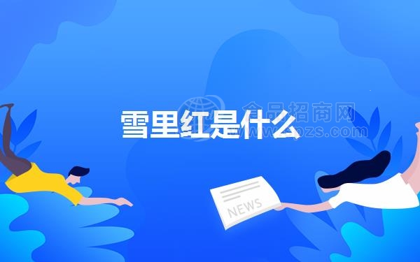 雪里红是什么