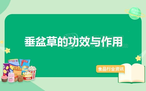 垂盆草的功效与作用