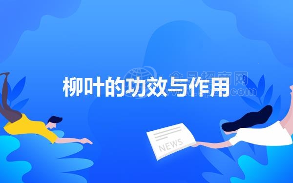 柳叶的功效与作用