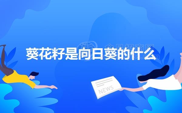 葵花籽是向日葵的什么