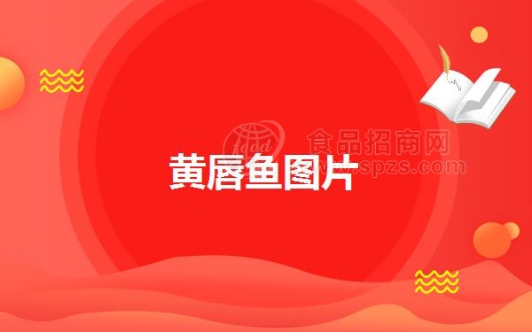黄唇鱼图片