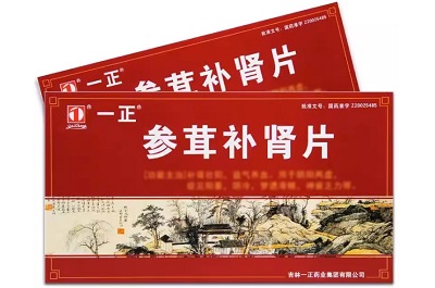 参茸补肾片